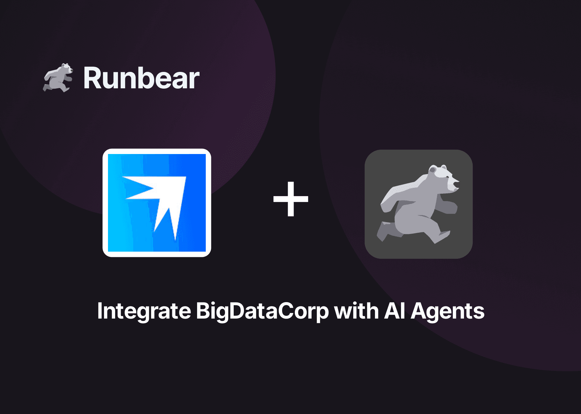 BigDataCorp Integration Thumbnail