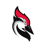 Woodpecker.co